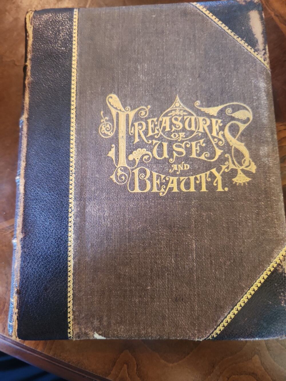 1883 TREASURES OF USE AND BEAUTY Victorian Wisdom History Crafts Illustrated